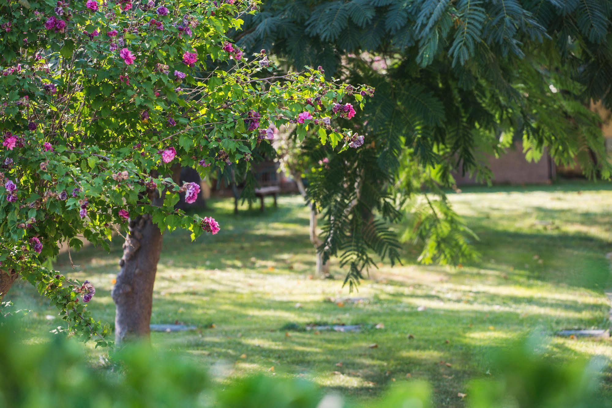 Plaza Hotel Alexandroupolis Buitenkant foto